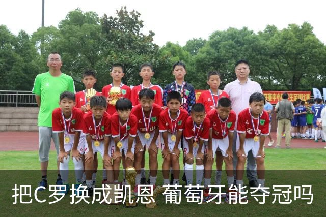 把C罗换成凯恩 葡萄牙能夺冠吗